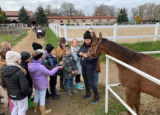 Wycieczka klas 1c i 3b do Stadniny „Ewro” w Małoszycach grafika