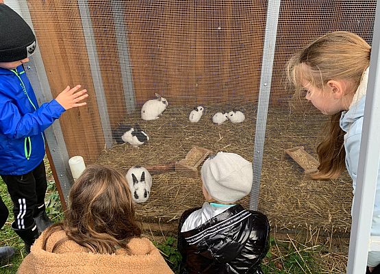 Wycieczka klas 1c i 3b do Stadniny „Ewro” w Małoszycach grafika