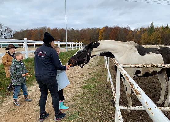 Wycieczka klas 1c i 3b do Stadniny „Ewro” w Małoszycach grafika
