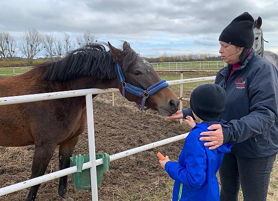 Wycieczka klas 1c i 3b do Stadniny „Ewro” w Małoszycach grafika