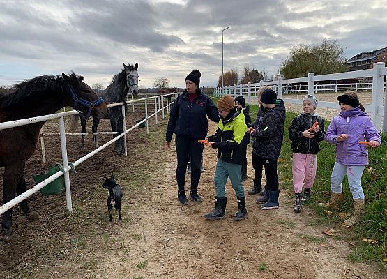 Wycieczka klas 1c i 3b do Stadniny „Ewro” w Małoszycach grafika