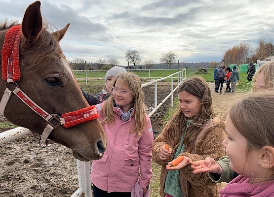 Wycieczka klas 1c i 3b do Stadniny „Ewro” w Małoszycach grafika