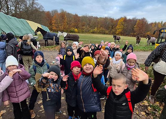 Wycieczka klas 1c i 3b do Stadniny „Ewro” w Małoszycach grafika