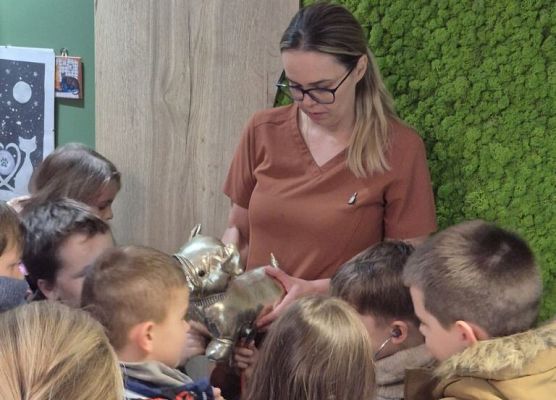 Ic w Centrum Weterynaryjnym grafika