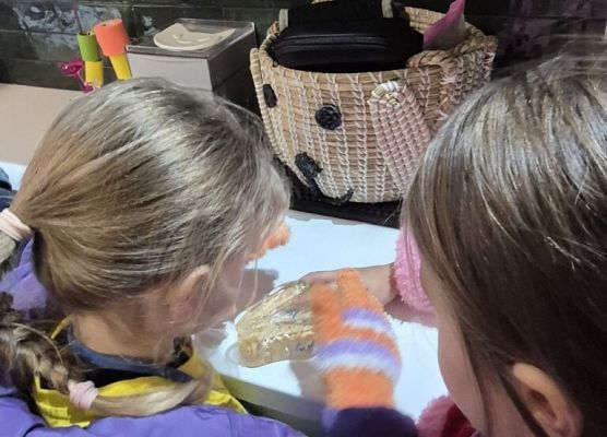 Ic w Centrum Weterynaryjnym grafika