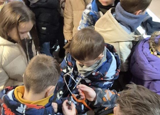 Ic w Centrum Weterynaryjnym grafika