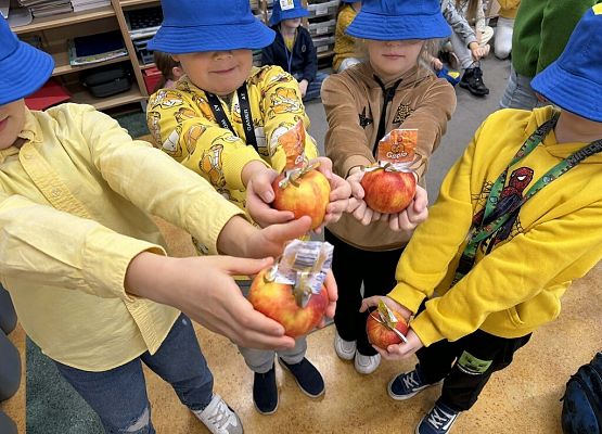 Dzień Życzliwości grafika