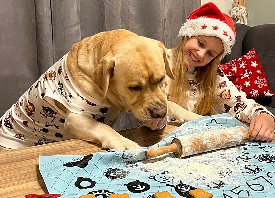 Powiatowy Konkurs Fotograficzno- Literacki ,,Ja i moje ukochane zwierzątko" grafika