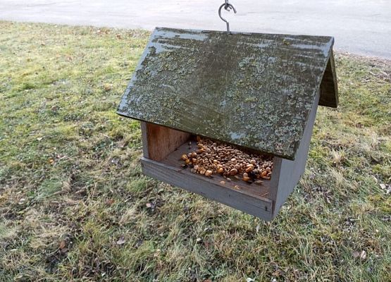 Dokarmiamy. Na zdrowie! grafika