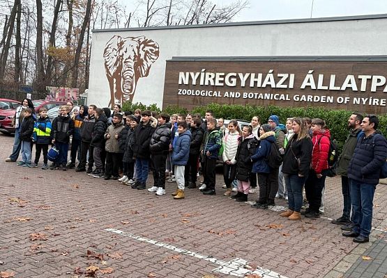 Erasmus+ „Lifelong STEM Learning for Young Learners” – mobilność w Nyíregyházie grafika