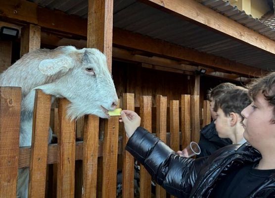 Erasmus+ „Lifelong STEM Learning for Young Learners” – mobilność w Nyíregyházie grafika