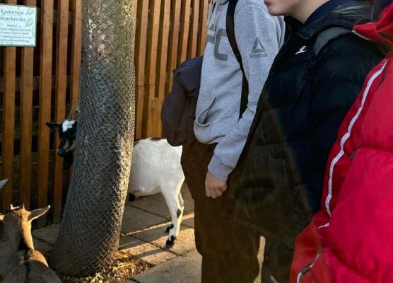 Erasmus+ „Lifelong STEM Learning for Young Learners” – mobilność w Nyíregyházie grafika