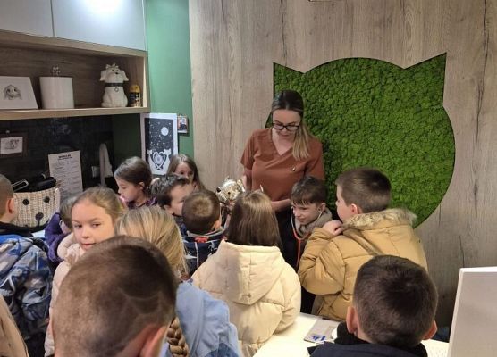 Rok szkolny 2025/2026 grafika