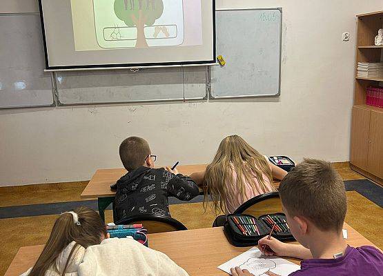 Dbamy o bezpieczeństwo w sieci grafika