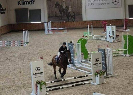 Konna pasja naszych uczennic grafika