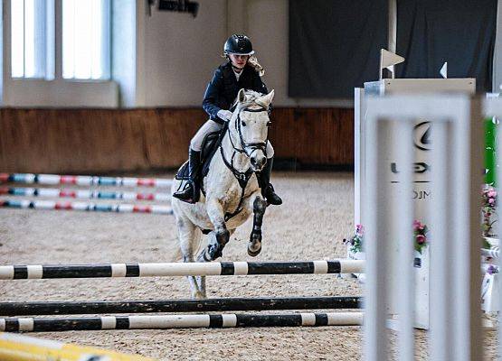 Konna pasja naszych uczennic grafika