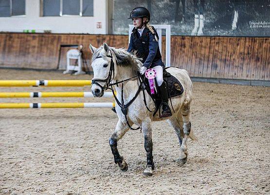 Konna pasja naszych uczennic grafika