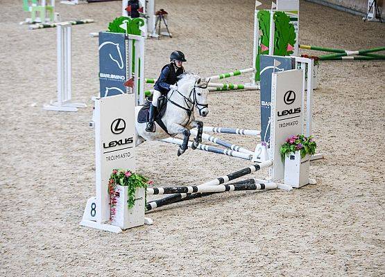 Konna pasja naszych uczennic grafika