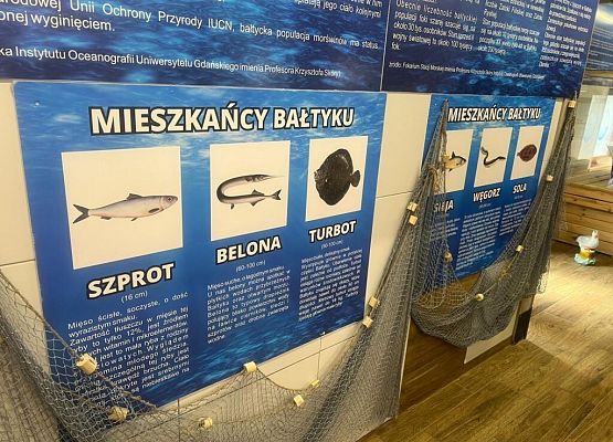 Morskie opowieści w Muzeum Statków w Ustce grafika