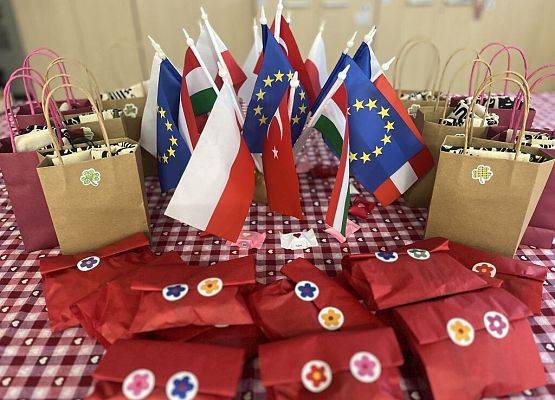 Projekt Erasmus+ w naszej szkole grafika