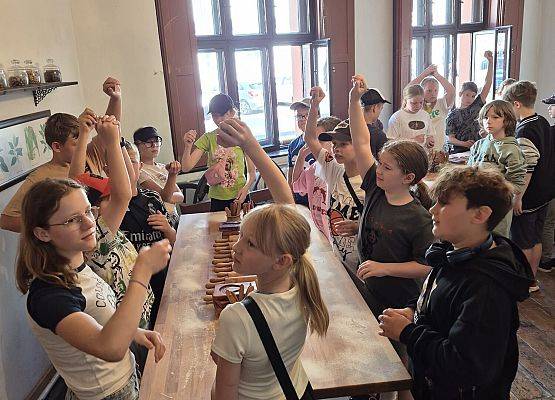 4b i 4c  w grodzie Kopernika grafika