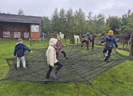 Jesienna przygoda na Farmie ALEXA grafika